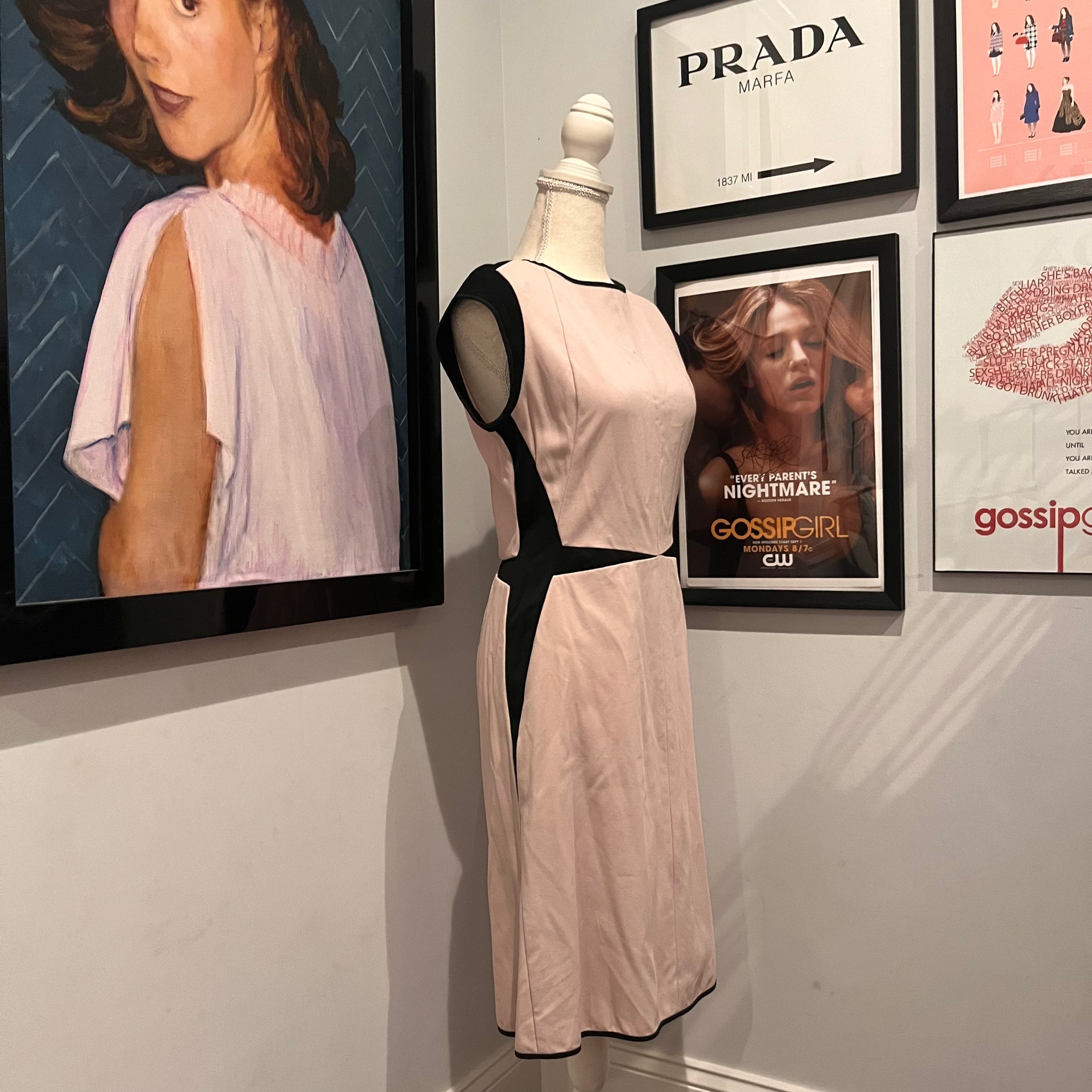Charlotte York's Narciso Rodriguez Pink Black Dress, Sex And The City –  xoxoposhipgirl